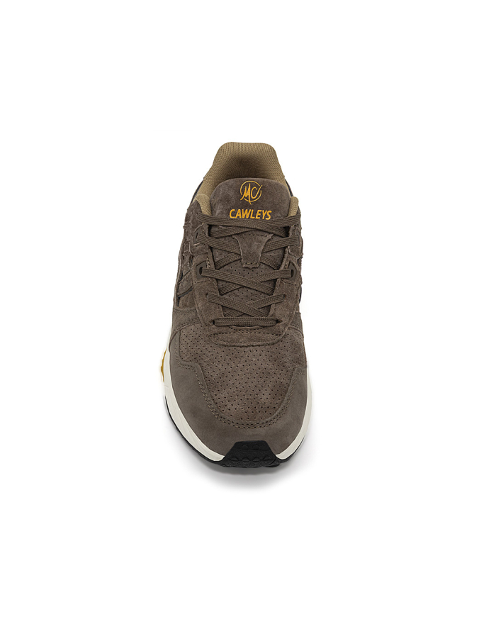 copy of copy of Brown bear notebook