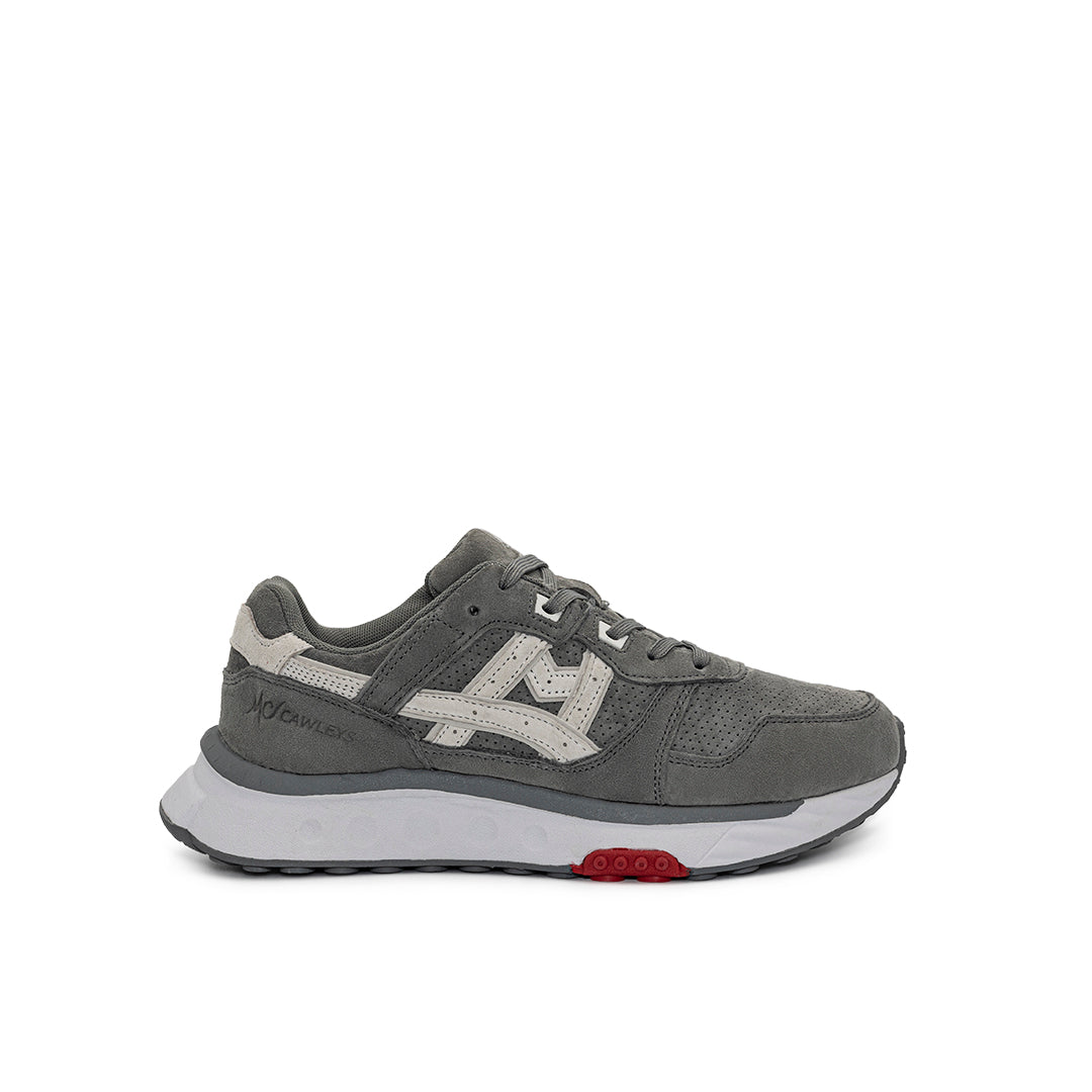 Polaris Gris/Blanco